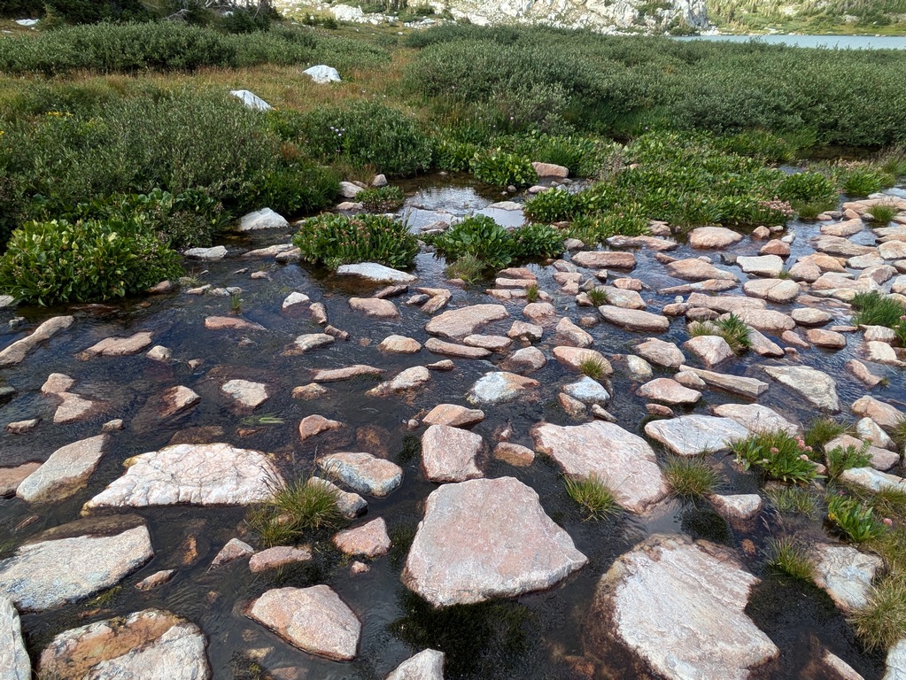 G2_NaturalSteppingStones.jpg