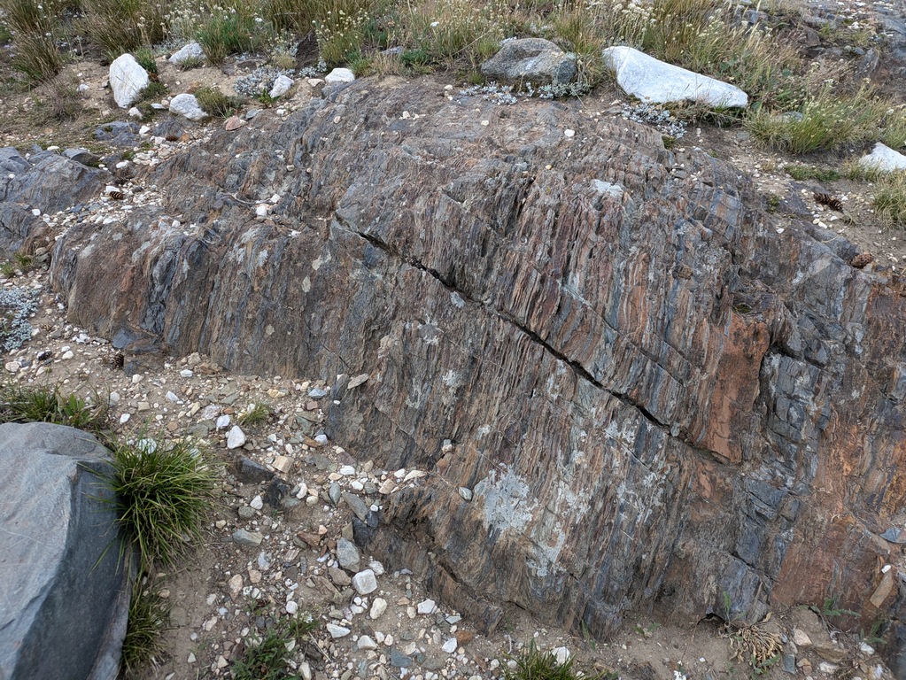 M2_FossilStromatoliteBoulder.jpg