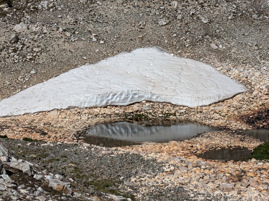 C2_SnowbankReflection.jpg