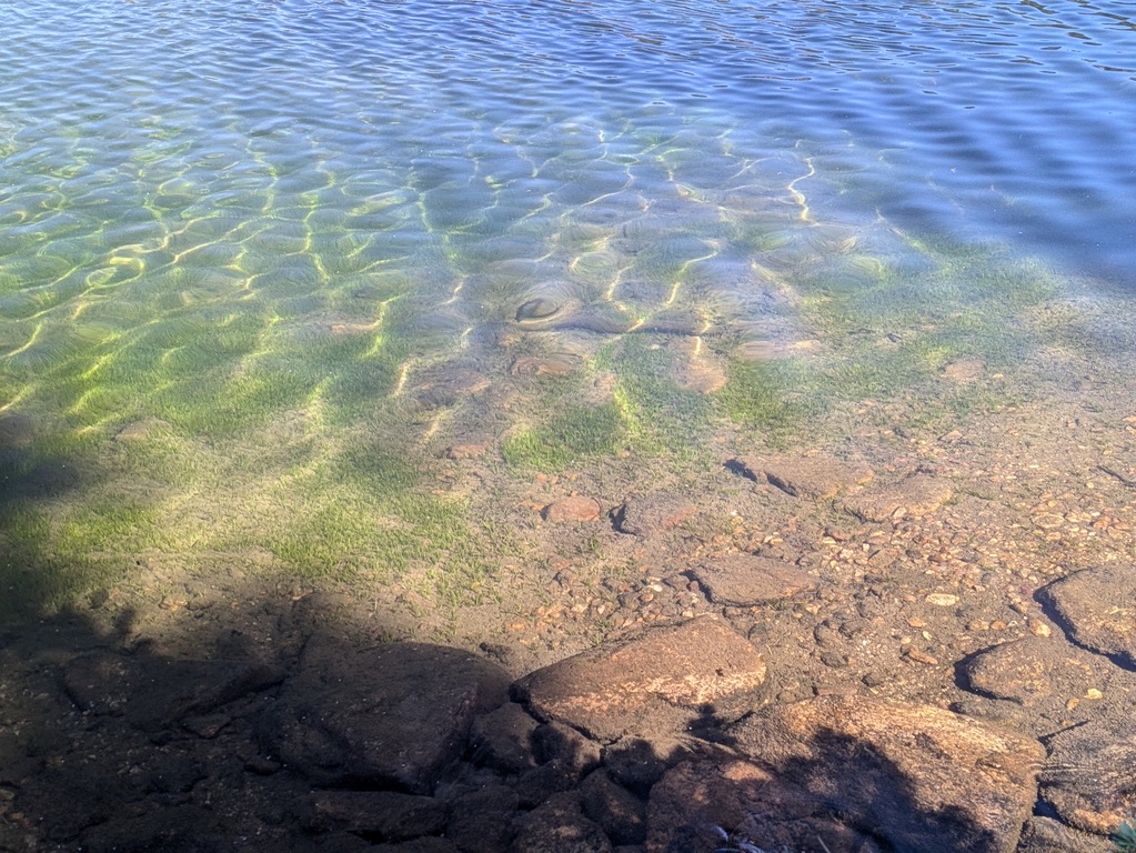K4_LakeShoreline.jpg