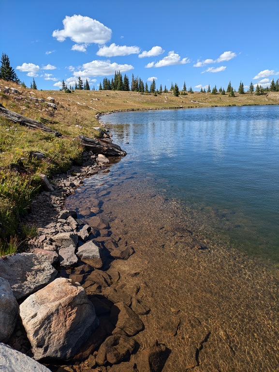 L2_MoreLakeShoreline.jpg
