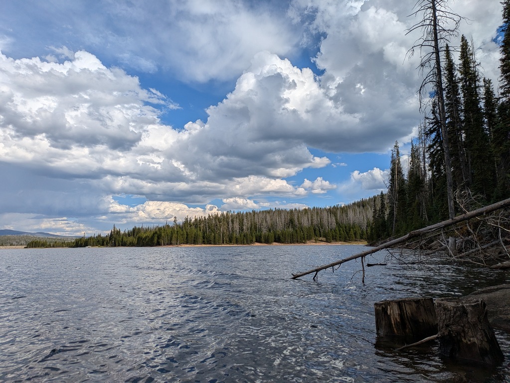 I2_HogParkResShoreline.jpg