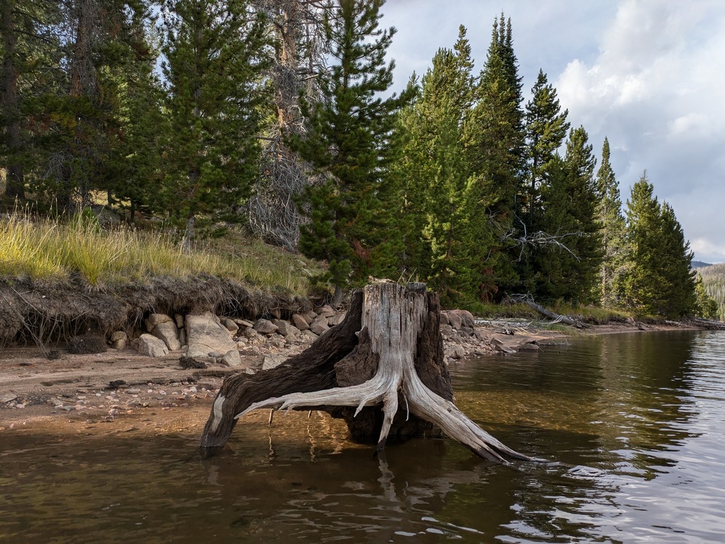 I3_HogParkResShoreline.jpg
