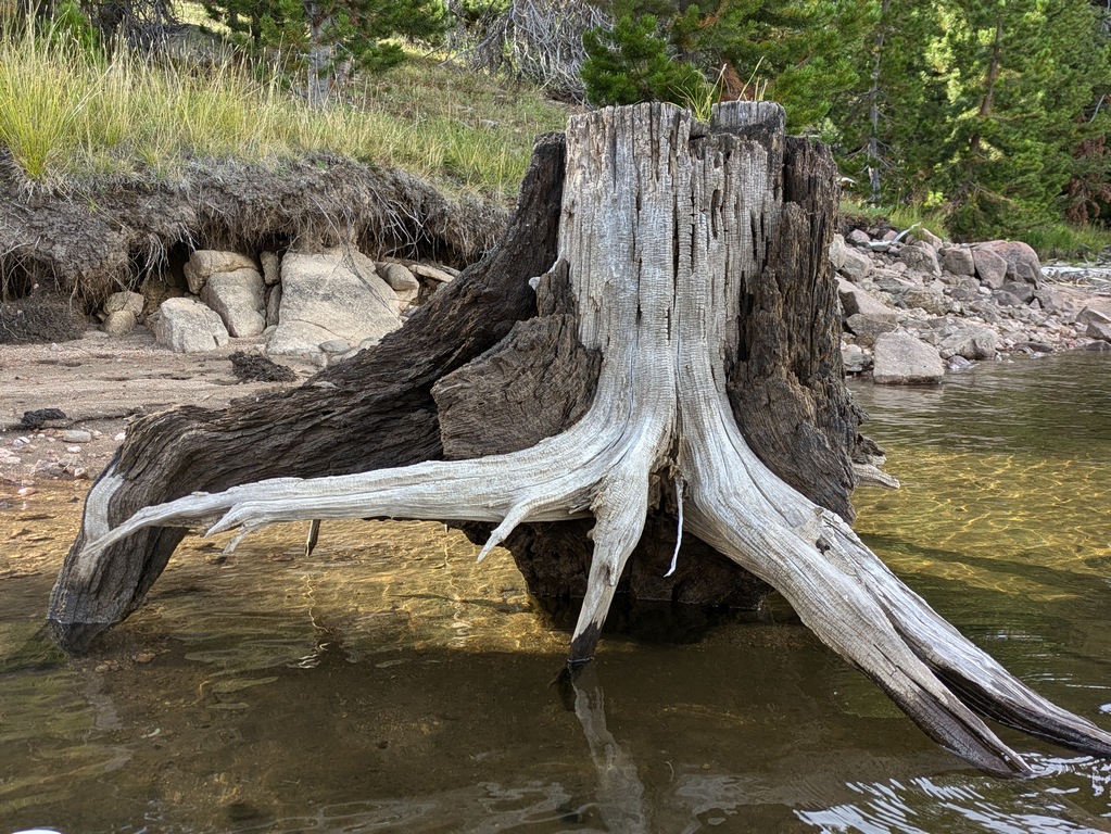I4_HogParkResShoreline.jpg