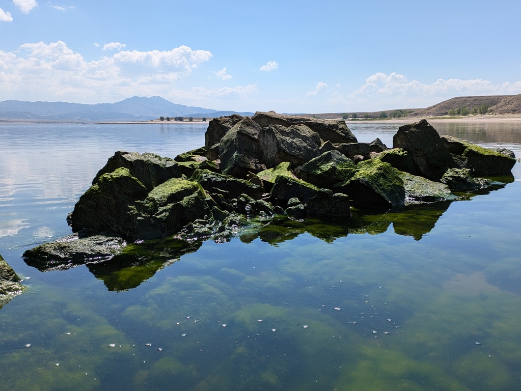 F2_AlgaeCoveredIsland.jpg