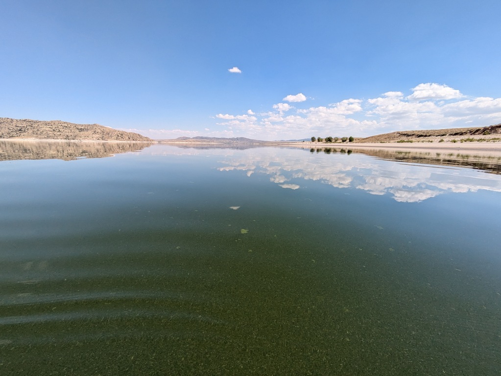 H2_AlgaeAndReflections.jpg