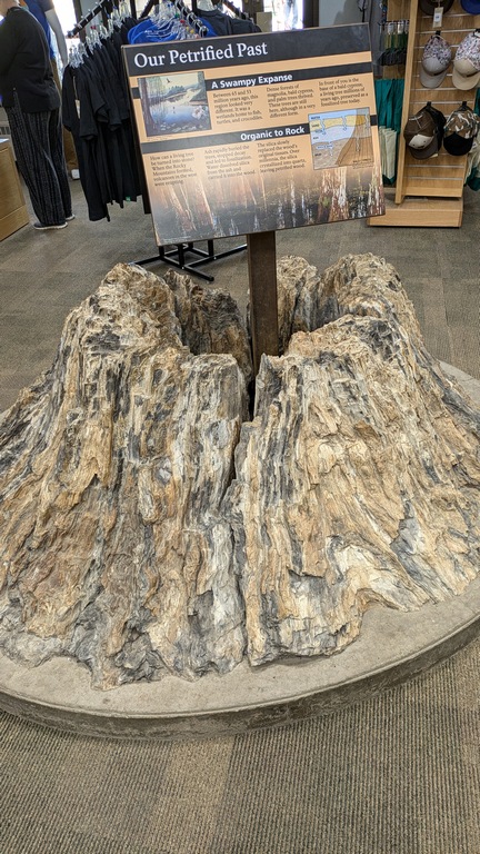 E1_VisitorCenterFossilStump.jpg