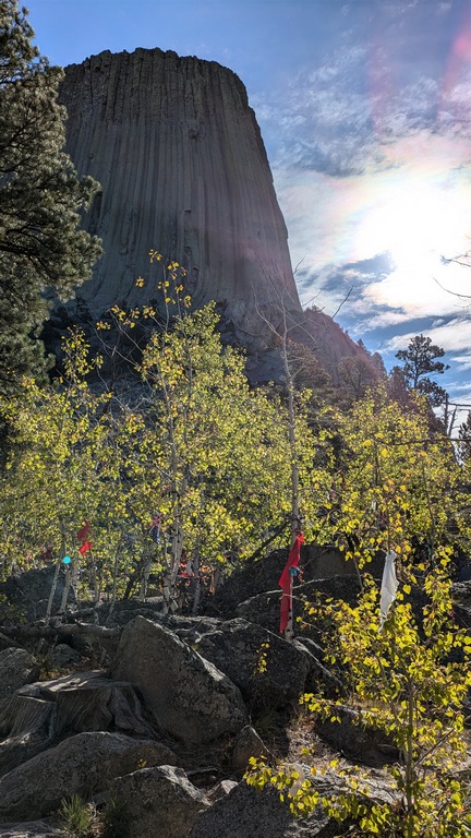 B4_PrayerFlagsOnTrees.jpg