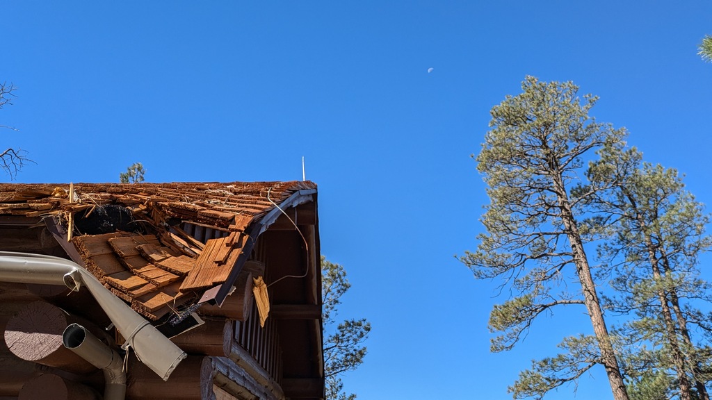 G2_RoofDamageFromTree.jpg
