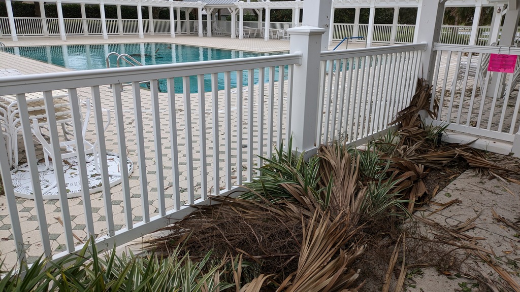 1010C_DebrisAtSwimmingPool.jpg
