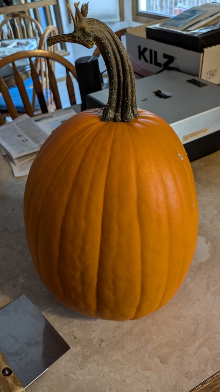 1118_GardenPumpkin.jpg