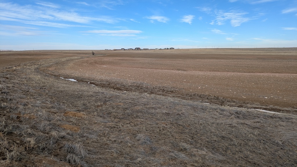 0203E_BareFieldNorth.jpg