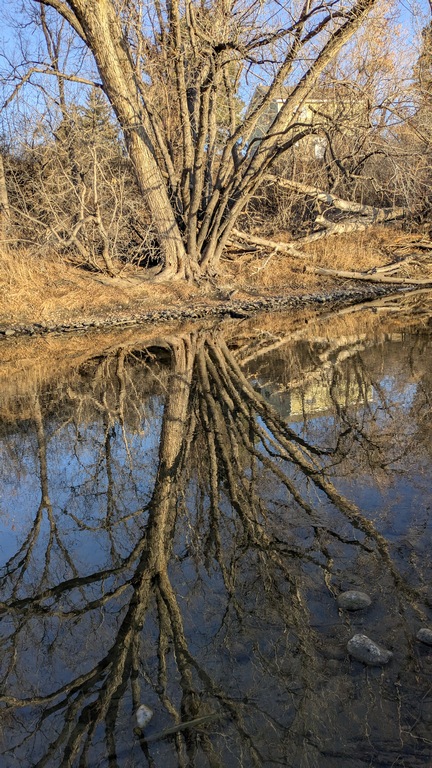 0206B_PoudreRiverReflections.jpg