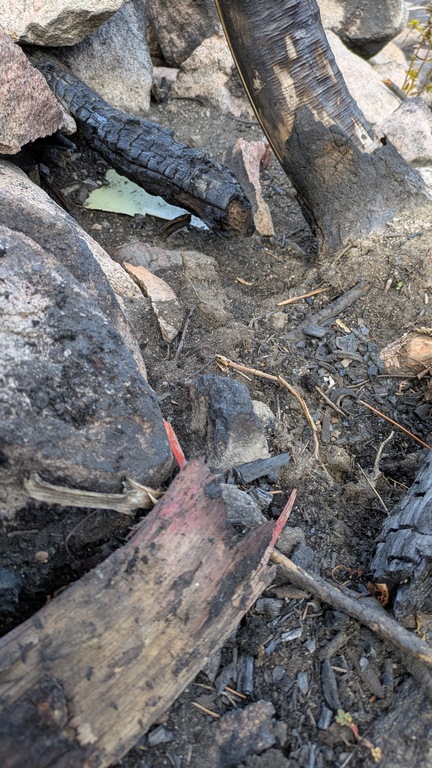 I1_DebrisOnBurnedGround.jpg