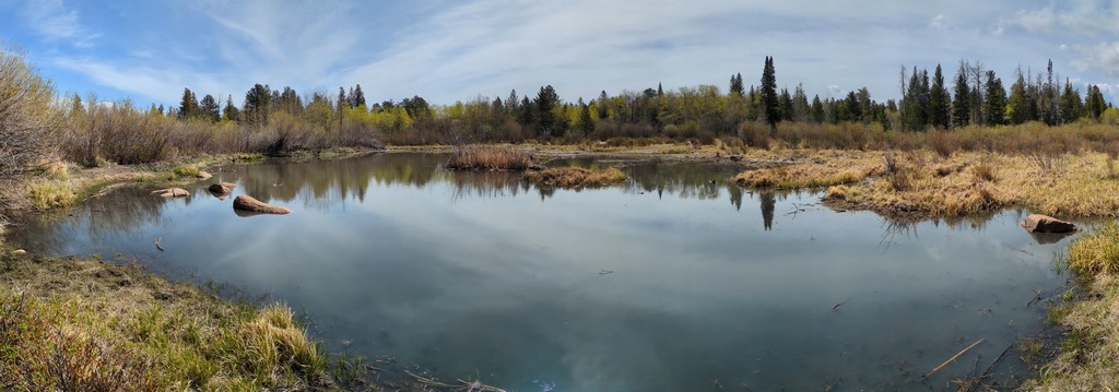 E4_BeaverPondPano.jpg