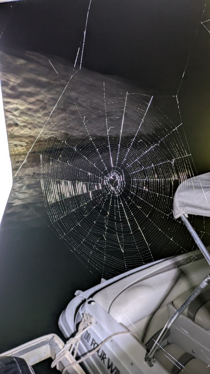 N_CobwebOnHouseboat.jpg