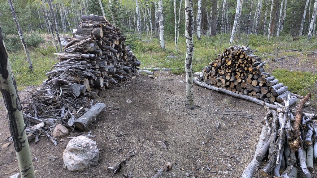 E1_TooMuchFirewood.jpg