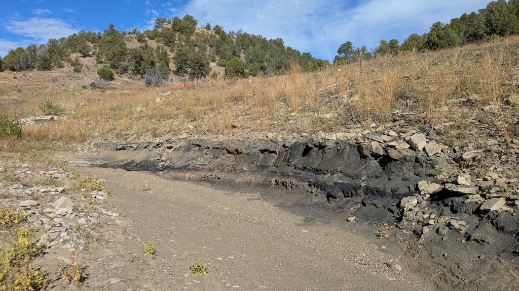 L2_StreambedCoalSeam.jpg