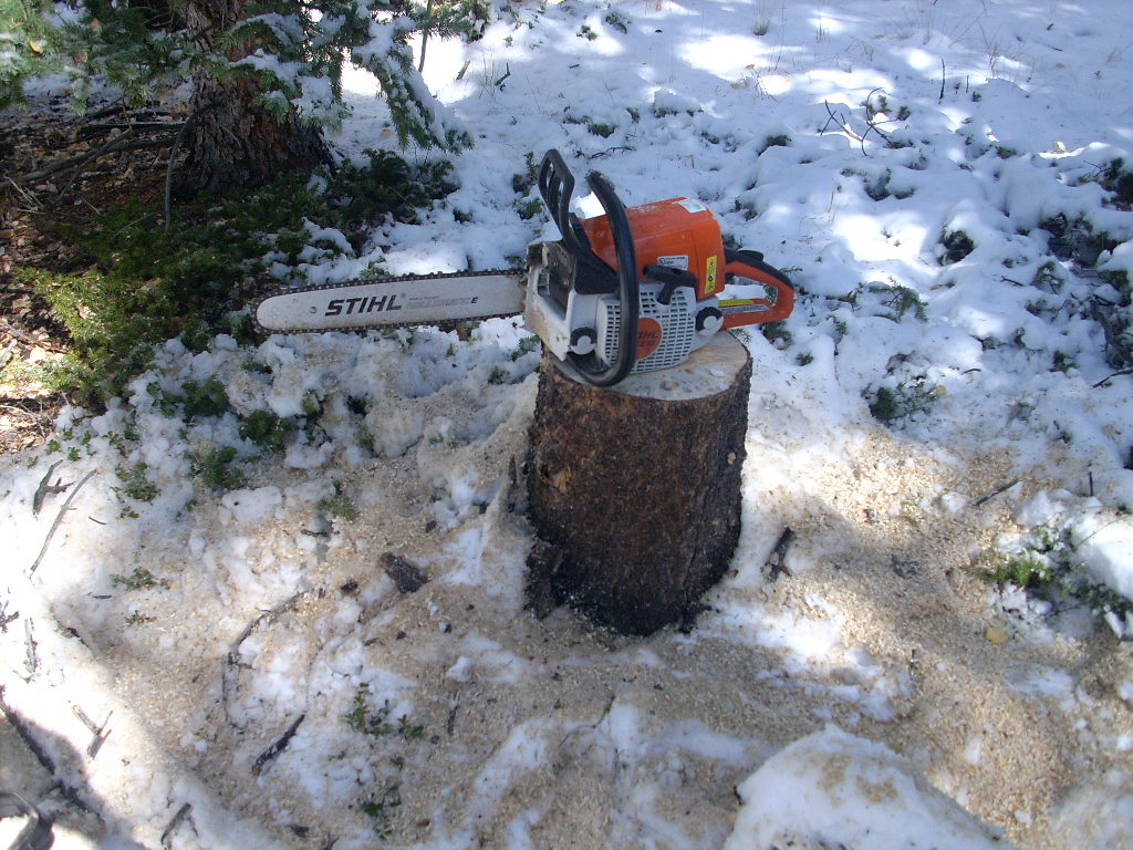 O4_081012_W1_NewChainsaw.JPG