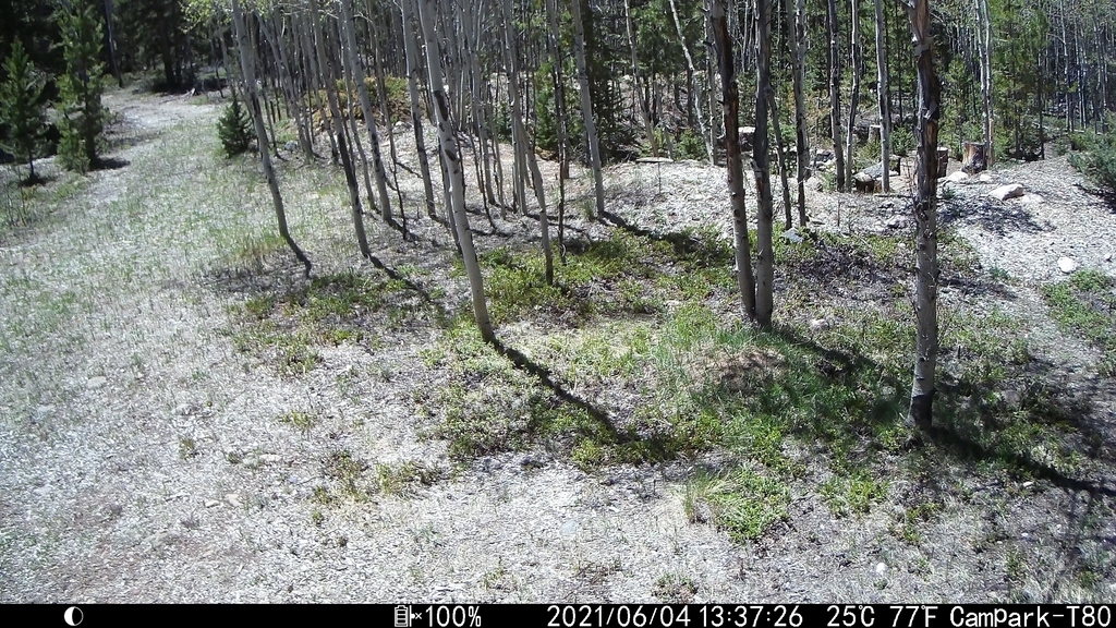 0604B_TrailcamBreeze.JPG