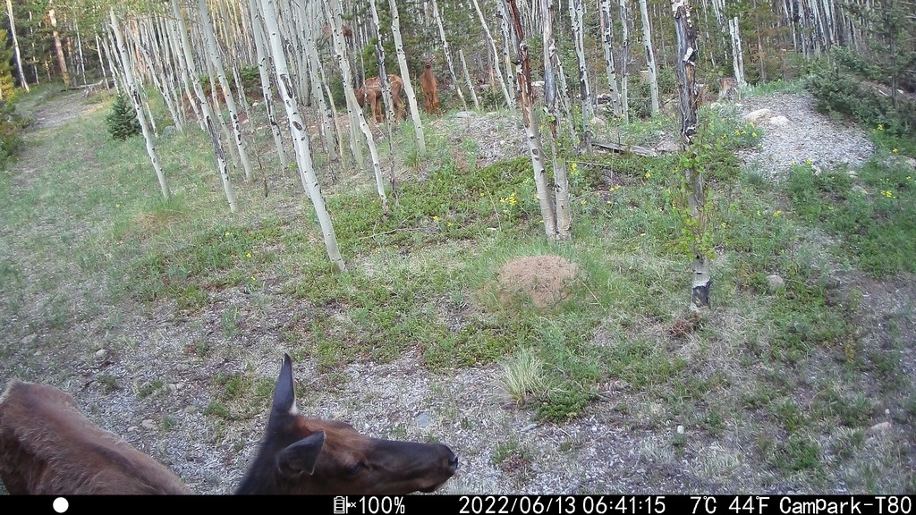 2022_0613B_OneBelowCamera.JPG