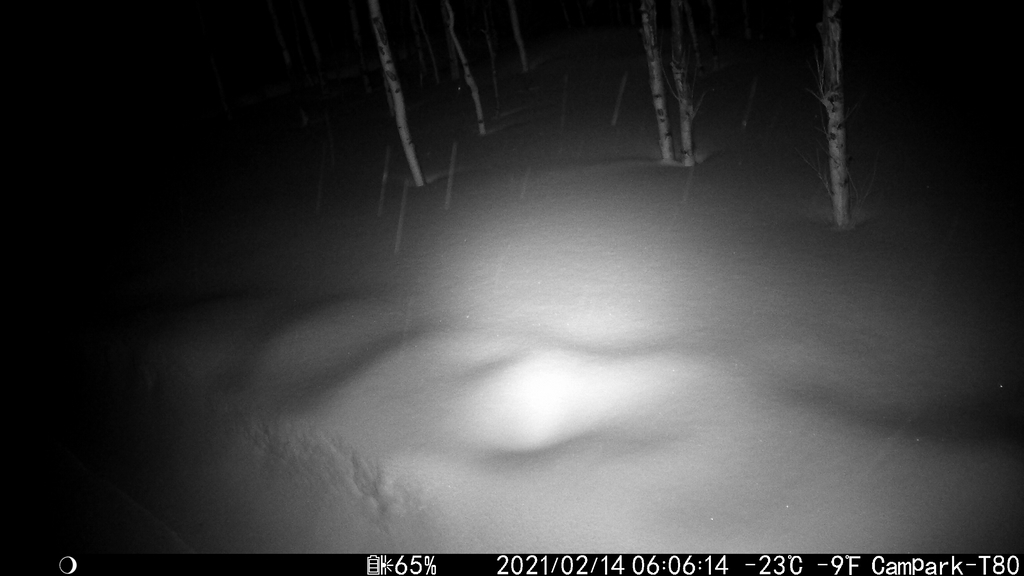 2021_0214_FallingAtNight.JPG