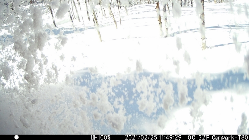 2021_0225A_FallingOffRoof.JPG