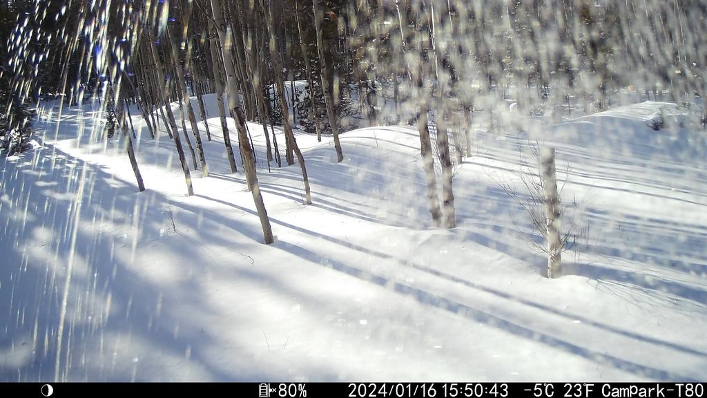 2024_0116A_OffRoof.JPG