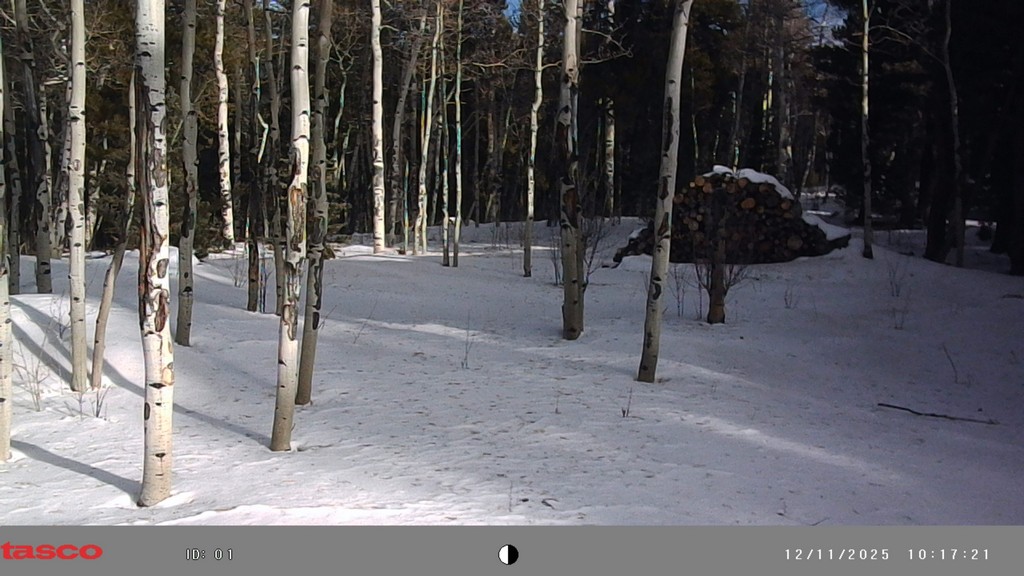 2025_1211A_NewCameraAngle.jpg