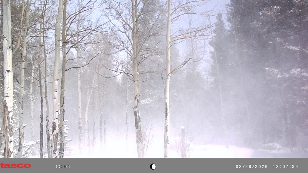 2026_0226_GroundBlizzard.jpg