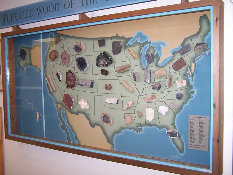 PetrifiedForestDisplay.jpg
