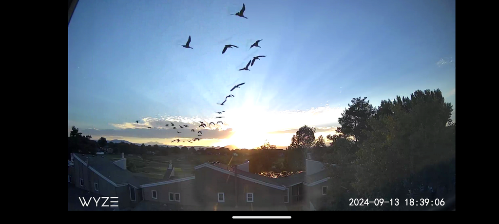 2024_0913_1839_FlockOfGeeseAtSunset.png