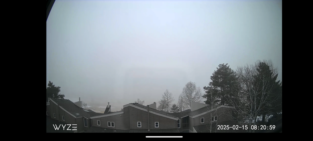 2025_0215_0820_TotallyFoggy.png