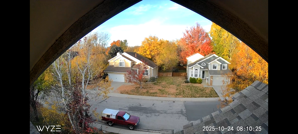 2025_1024_0810_TreesLosingLeaves10daysLater.png
