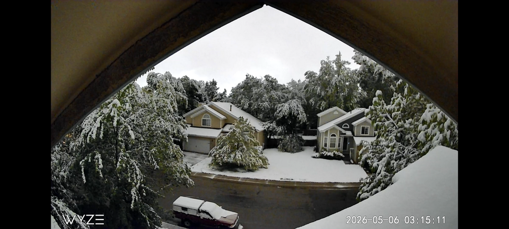 2026_0506_0315_BrightNightHeavySpringSnow.png