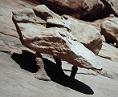 Walking Rock when discovered