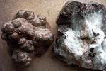 Popcorn rocks