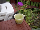 One finished candle cup