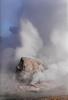 Grotto Geyser at Yellowstone