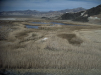 North to Saratoga Spring and pools
