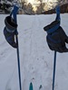 gloves and ski poles